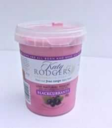 Picture of KATY RODGERS BLACKCURRANT YOGURT 490G