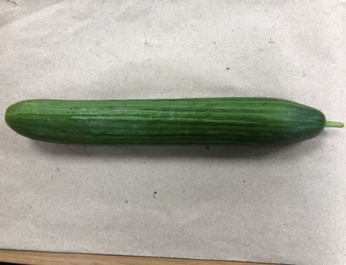 Picture of (Pre-Order <12PM) RAITH CUCUMBER SINGLE