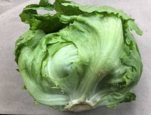 Picture of (Pre-Order <12PM) RAITH ICEBERG LETTUCE SINGLE