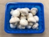 Picture of (Pre-Order <12PM) RAITH MUSHROOMS 250G