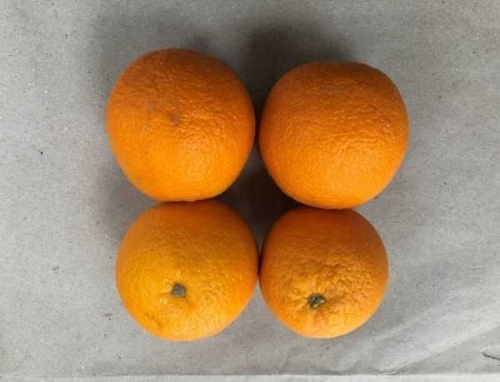 Picture of (Pre-Order <12PM) RAITH ORANGES 4 PACK