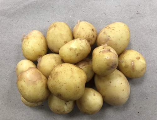 Picture of (Pre-Order <12PM) RAITH MARIS PIPER POTATOES 5KG