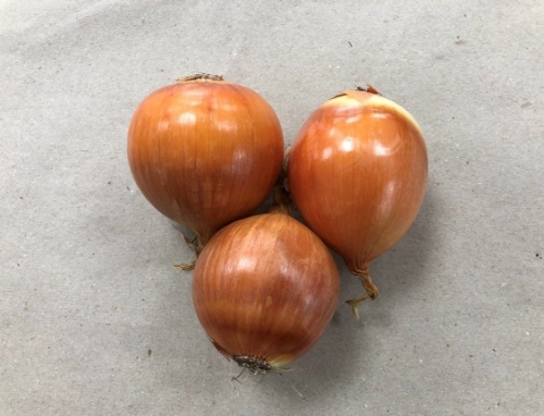 Picture of (Pre-Order <12PM) RAITH ONIONS 5KG