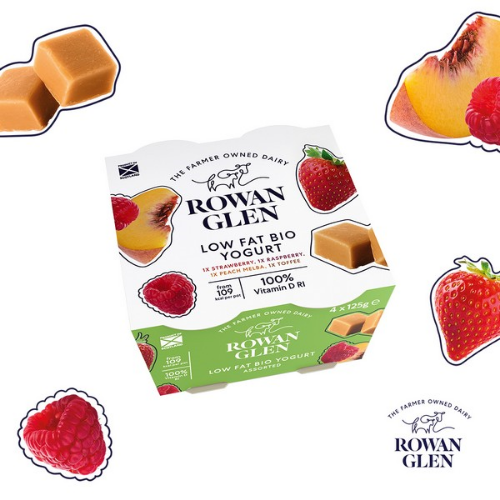 Picture of ROWAN GLEN LOW FAT BIO ASSORTED 4 PACK 6X4X125G