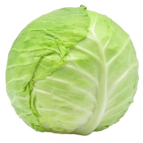 Picture of RAITH WHITE CABBAGE