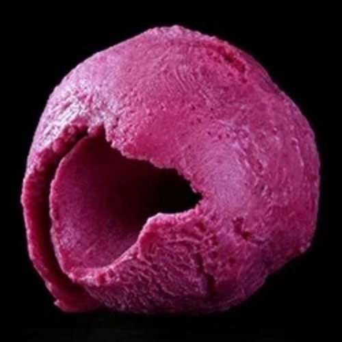 Picture of FROZEN MARIO BLACKCURRANT SORBET 2.5LT