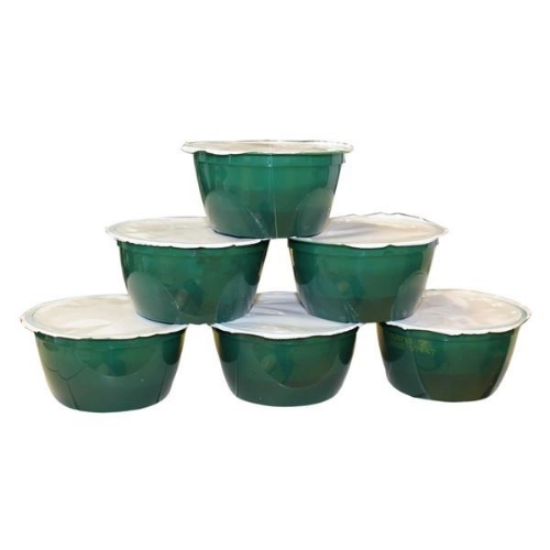 Picture of CHRISTMAS PUDDING GLUTEN FREE MINIS 24X100G